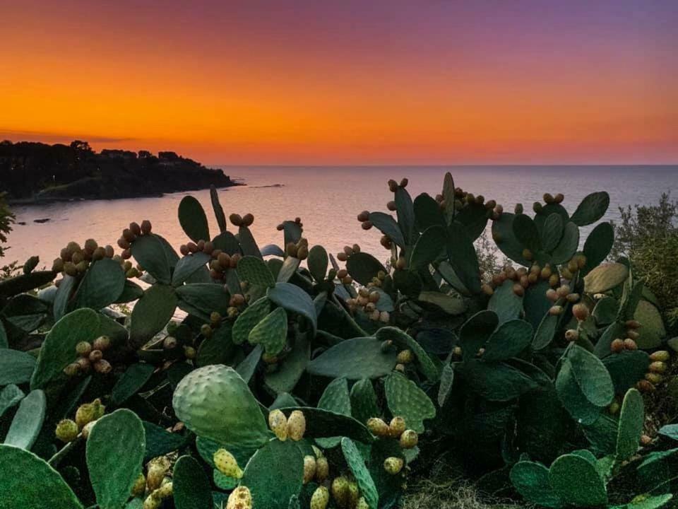 הוילה צ'פאלו Ogliastro Sul Mare - Sleep And Dream מראה חיצוני תמונה